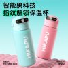 Youthful Edition Smart Stainless Steel Bottle with Fingerprint Lock